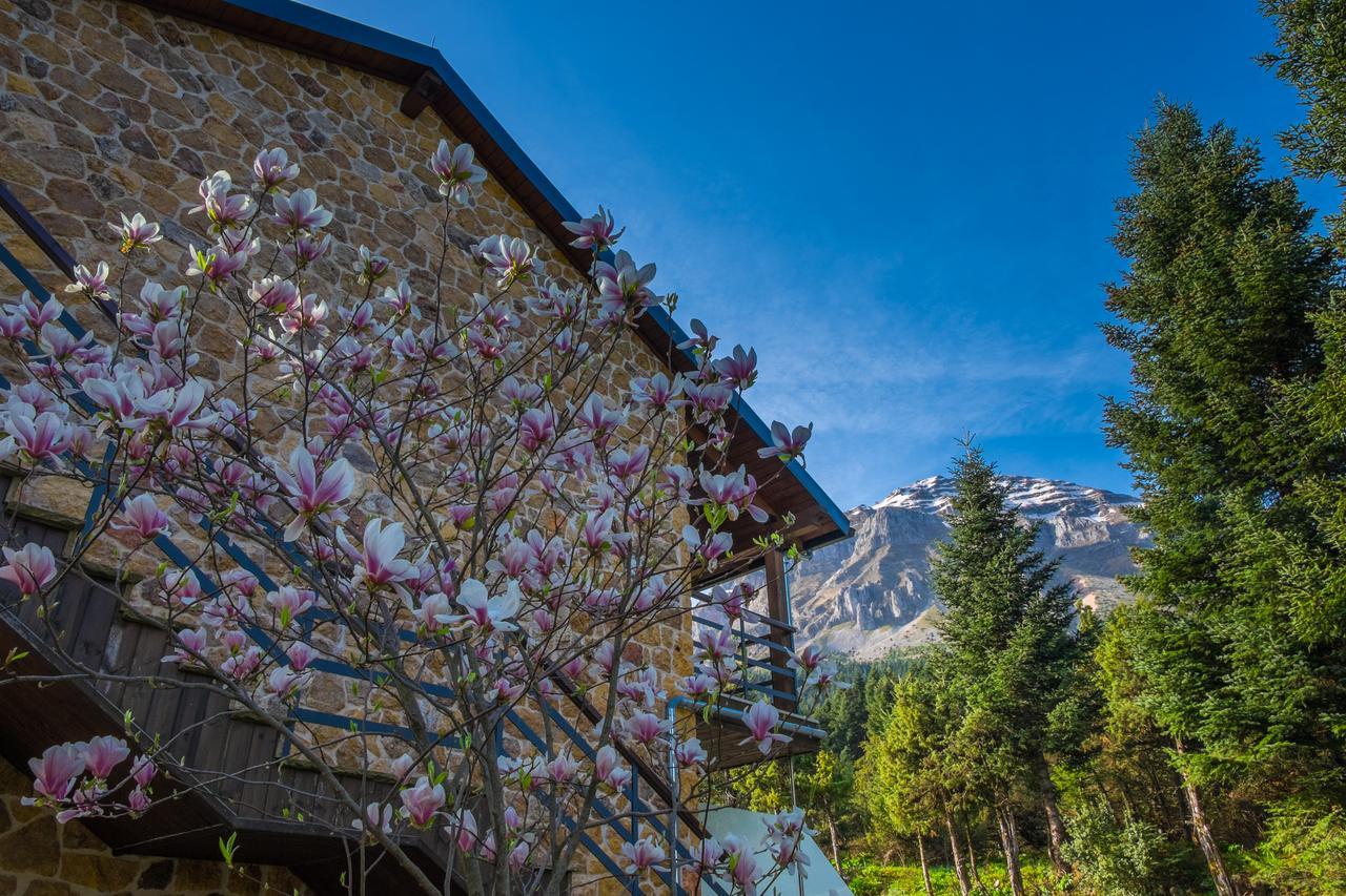 Orizontes Tzoumerkon Hotel Resort Pramanta Eksteriør billede