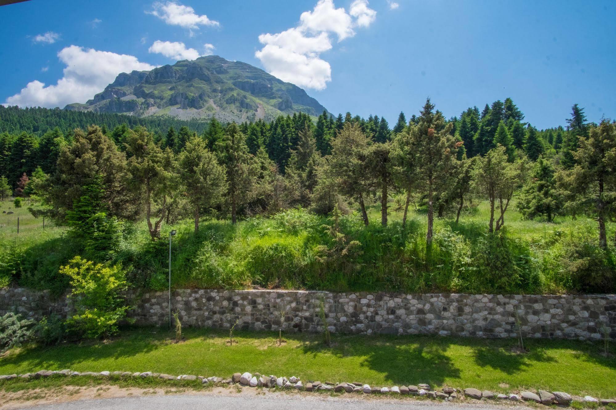 Orizontes Tzoumerkon Hotel Resort Pramanta Eksteriør billede